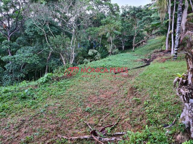 Terreno para Venda em Ubatuba - 4