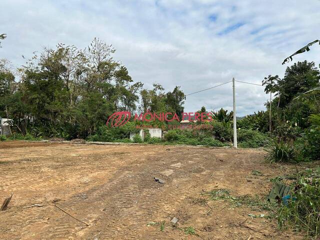 Terreno em Condomínio Fechado para Venda em Paraty - 2