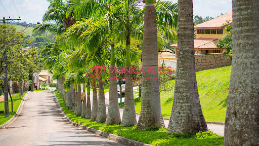 Terreno à venda, 1200m² - Foto 6