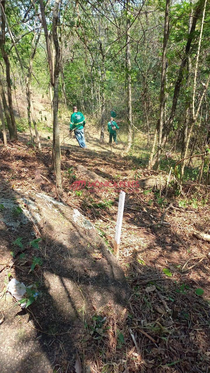 Terreno à venda - Foto 4